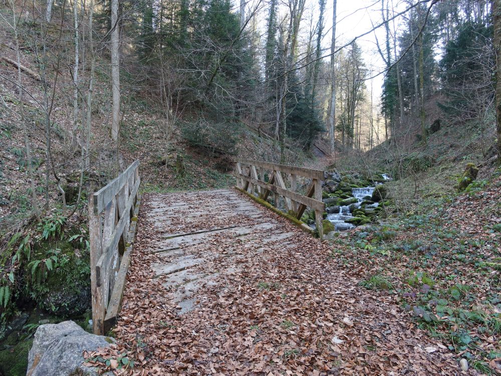 Steg übern Höllbach