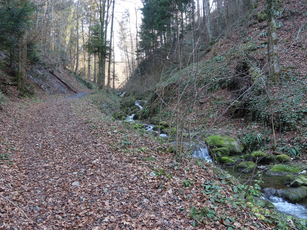 Weg am Höllbach