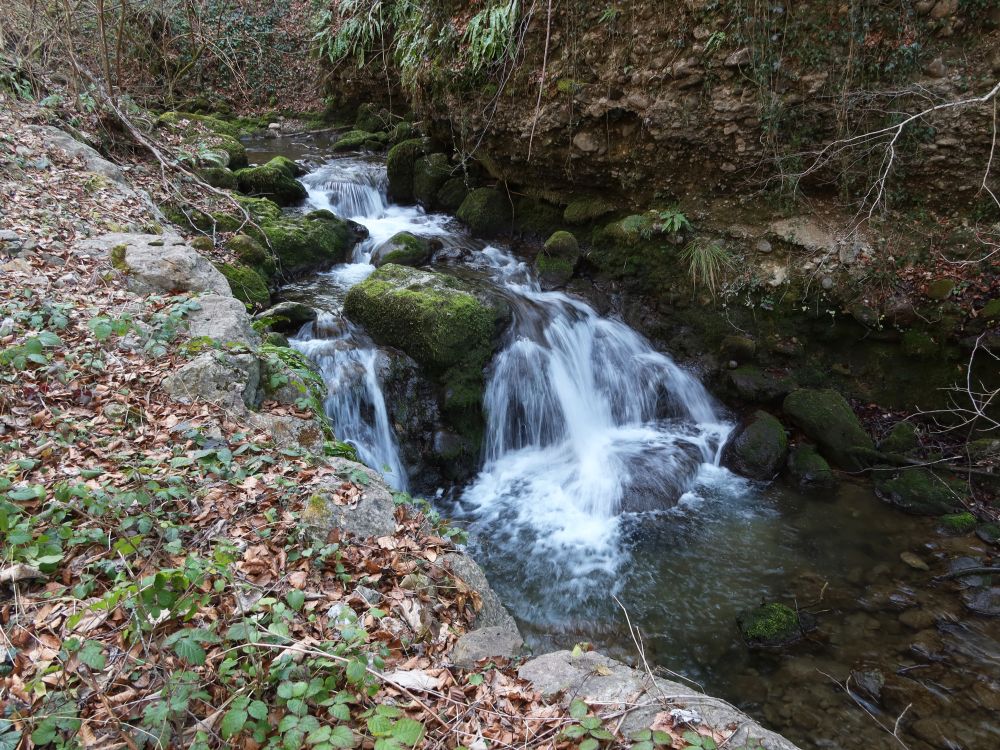 Höllbach