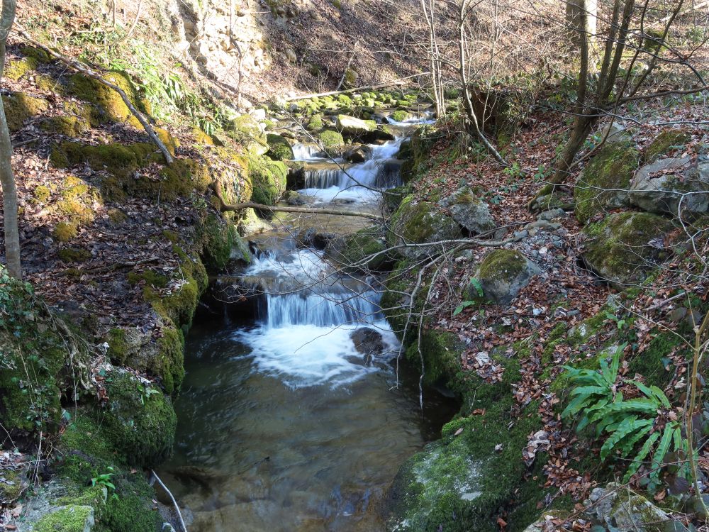 Höllbach