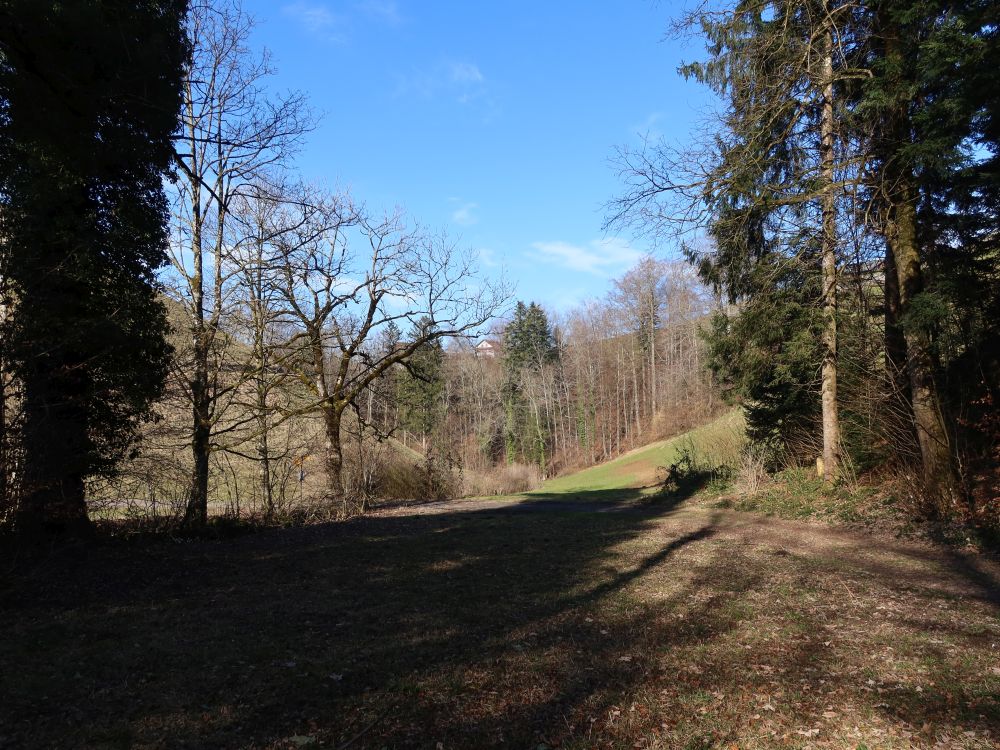 Weg am Höllbach