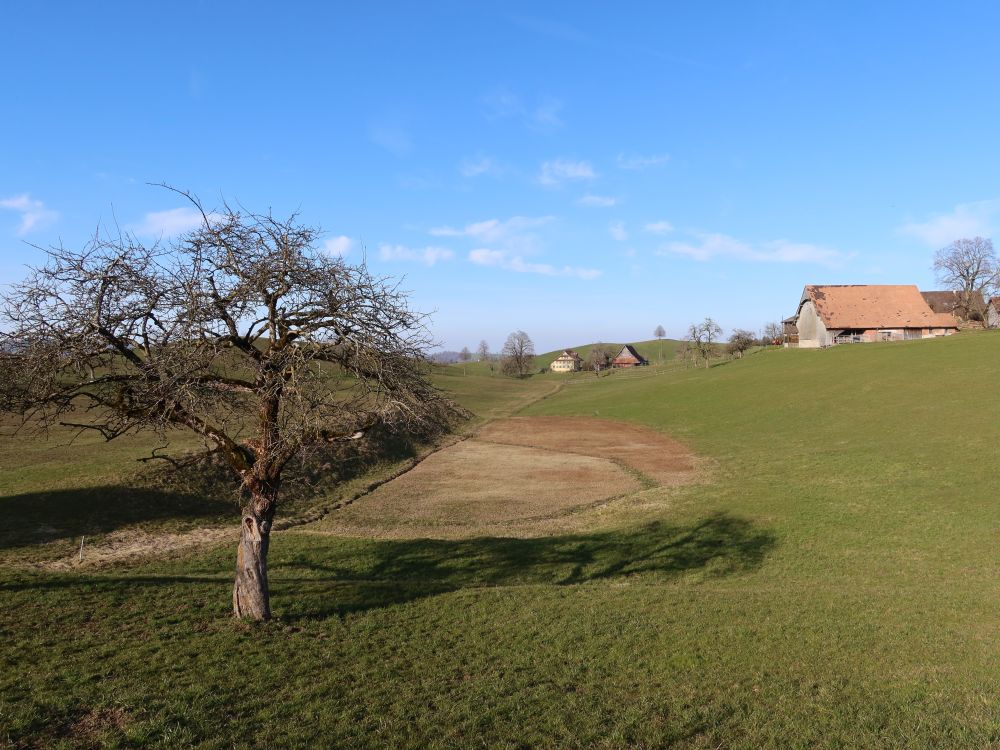 Unterbüeltli
