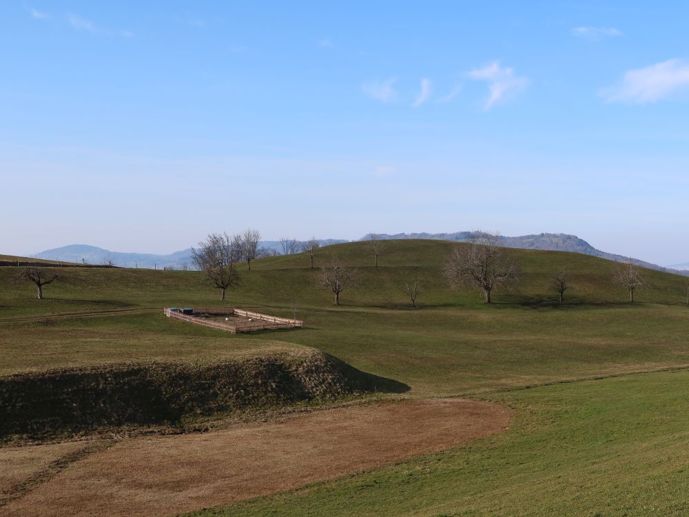 Albiskette am Horizont