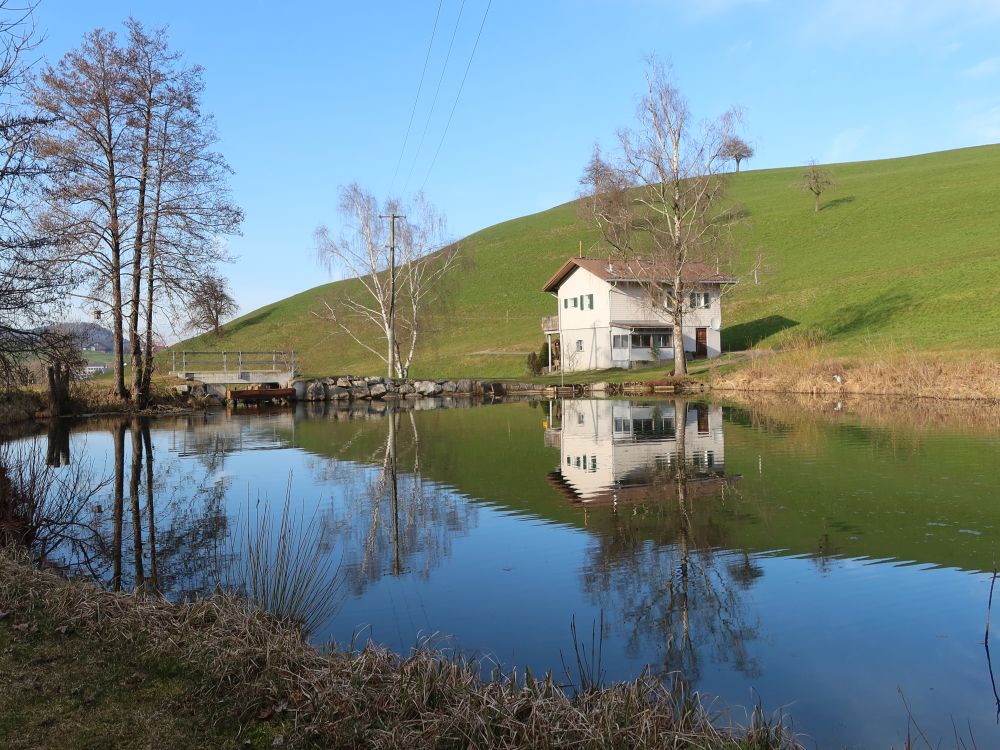 Teich bei Burgweid