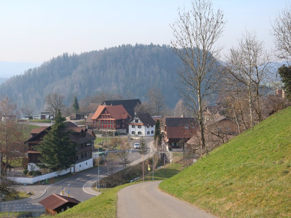 Hinterburg und Baarburg