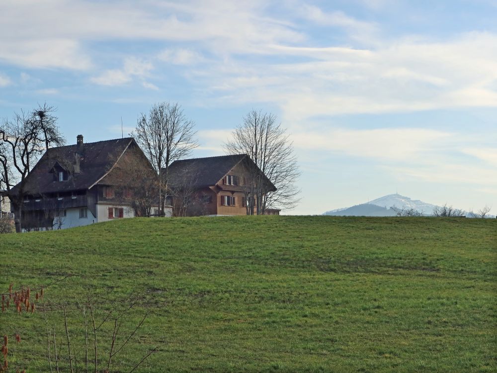 Ortsrand Hinterburg und Rigi