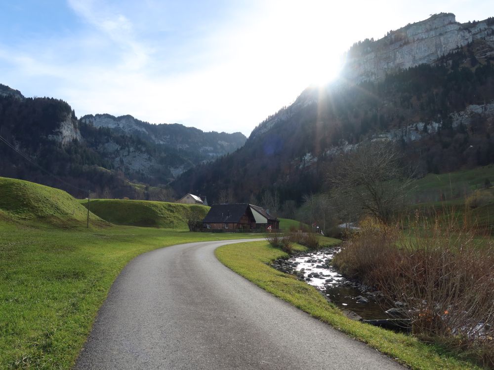 Brüelbach an der Rossweidstrasse