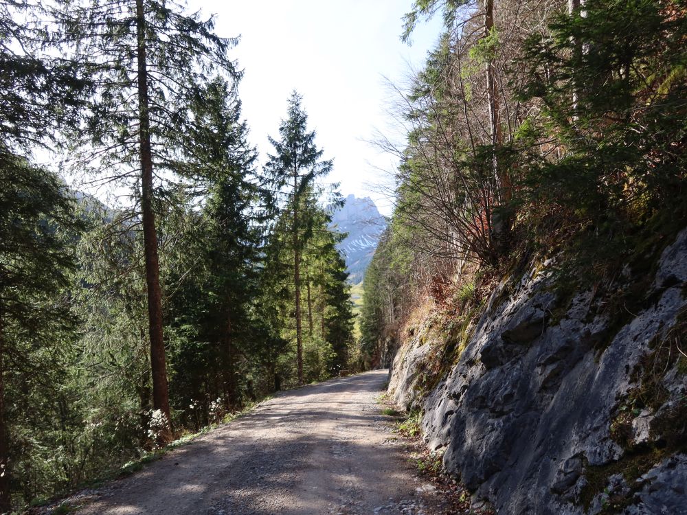 Bergweg bei Plattenbödeli