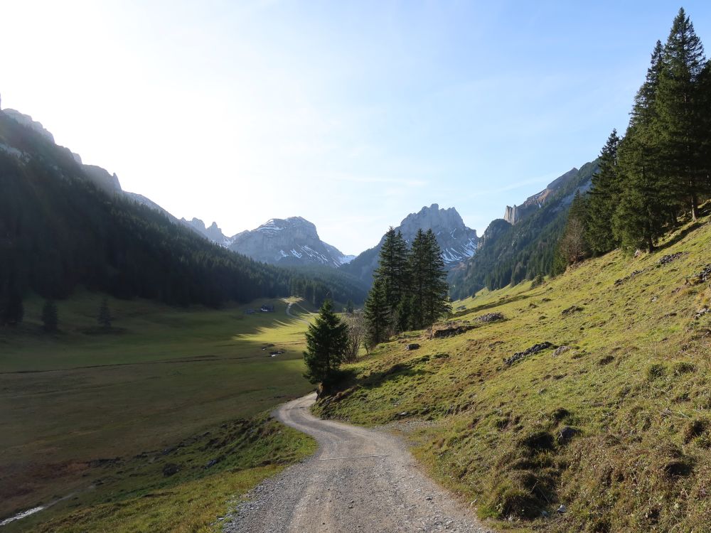 Roslenfirst und Hundstein