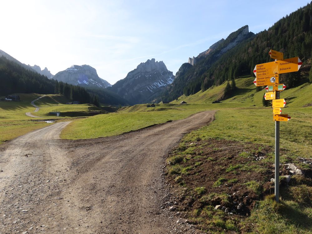 Roslenfirst und Hundstein