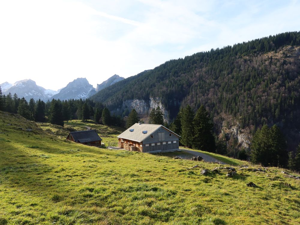 Alp Soll Büllenstein