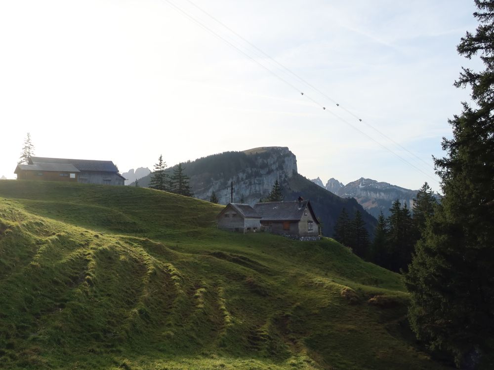 Hüttenbüel und Alp Sigel