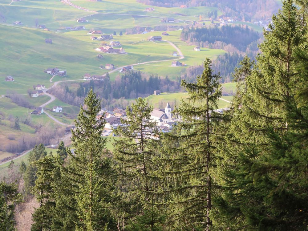 Kirche Brülisau zwischen Tannen