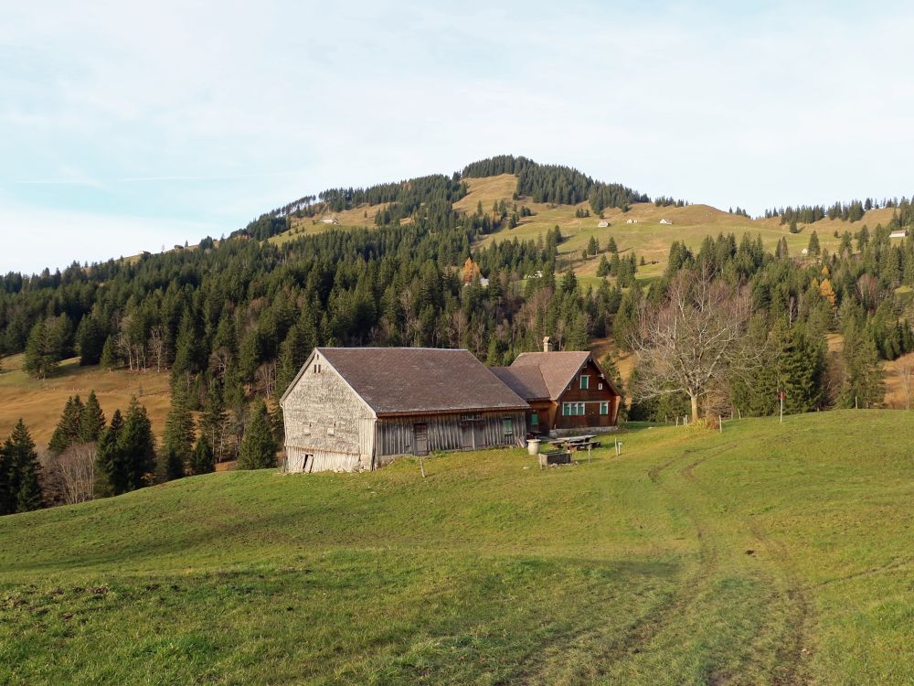 Fänerenspitz über Fulen