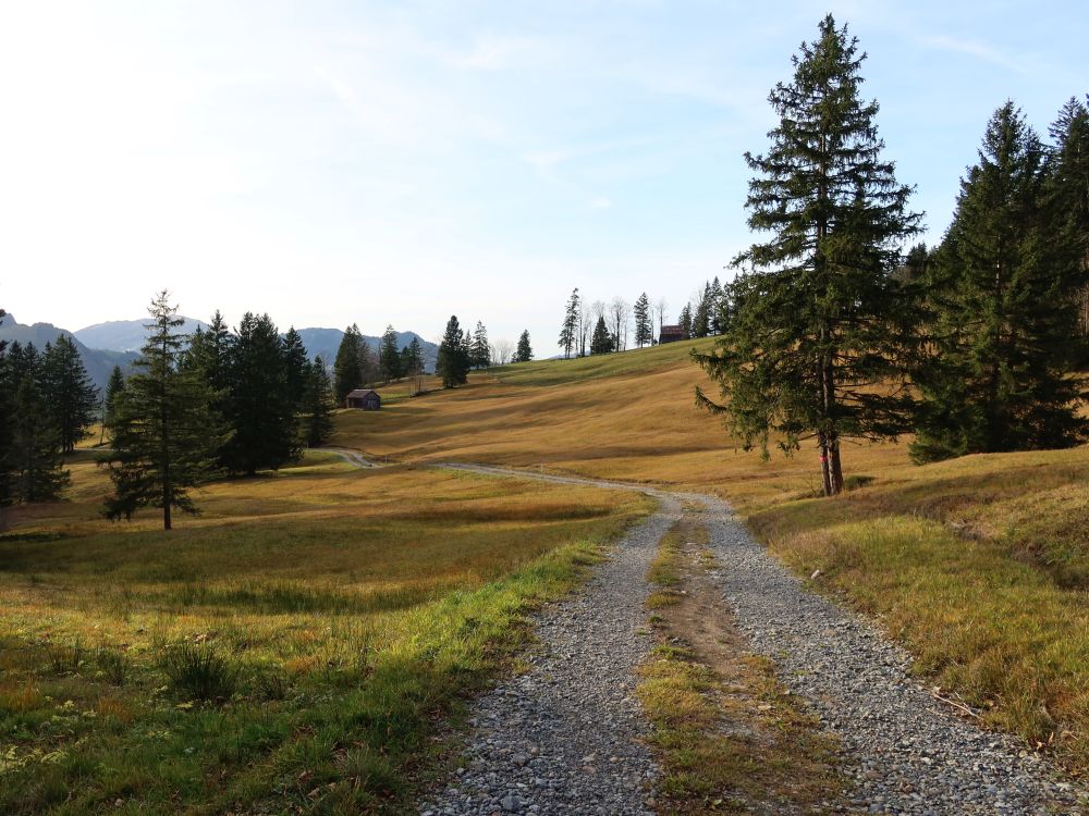 Schwarzeneggstrasse bei Mäder