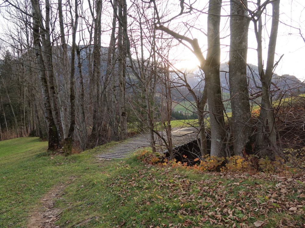 Pfad über Hintere Waldschaft