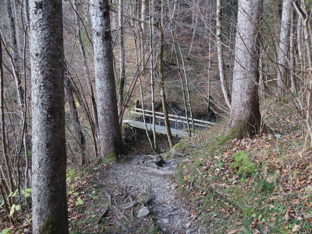 Steg am Horstbach-Zufluss