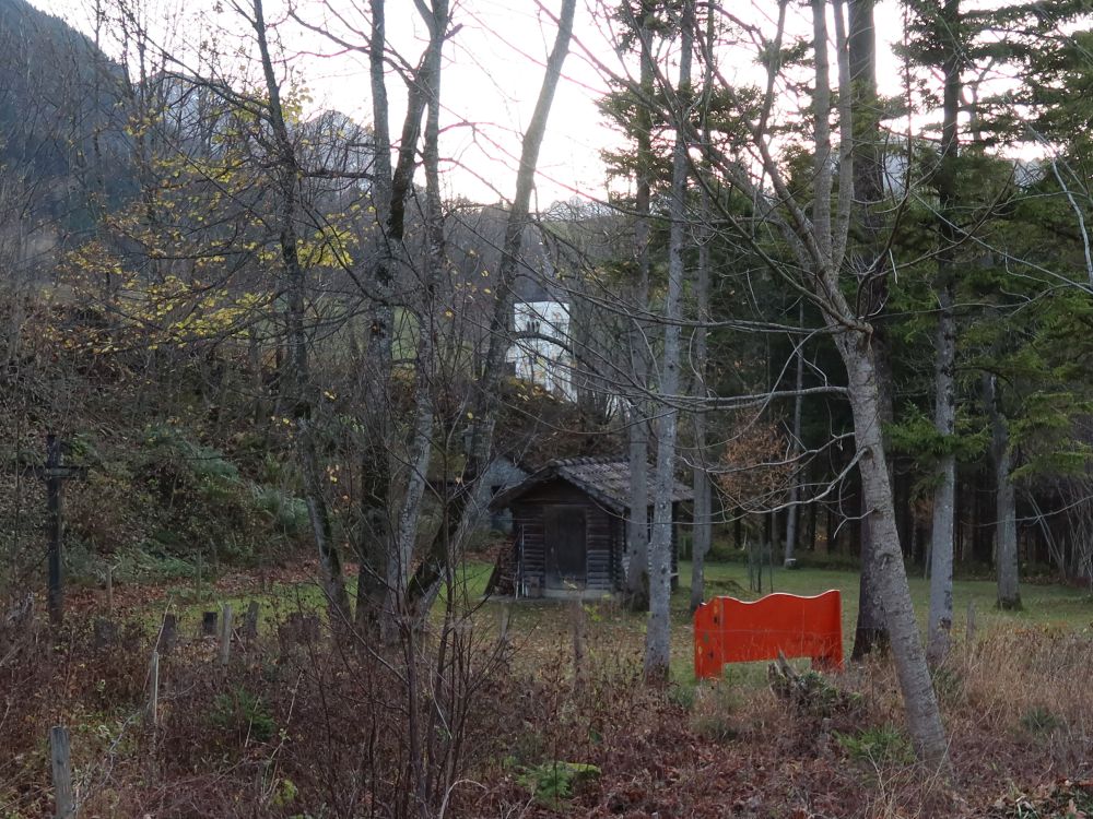 Kirche Brülisau hinter Bäumen