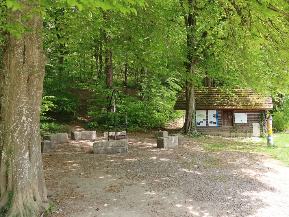 Waldfestplatz