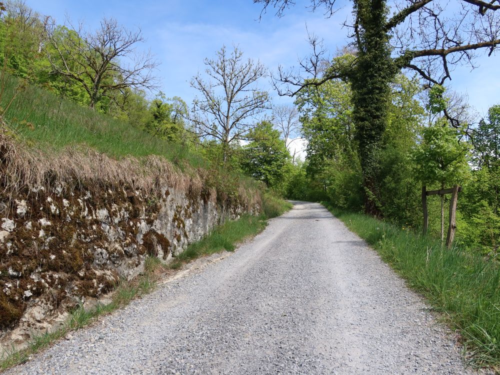 Schlossweg