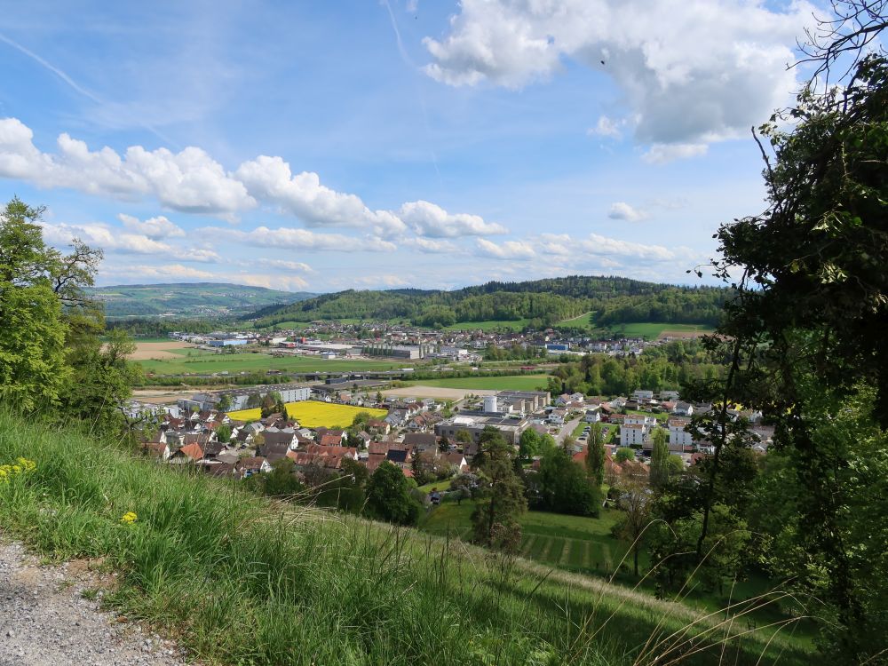 Brunegg und Mägenwil