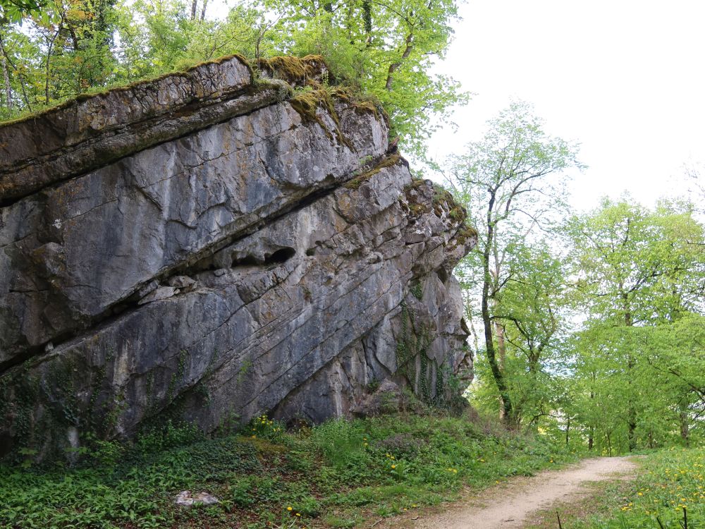 Fels bei Schloss Brunegg