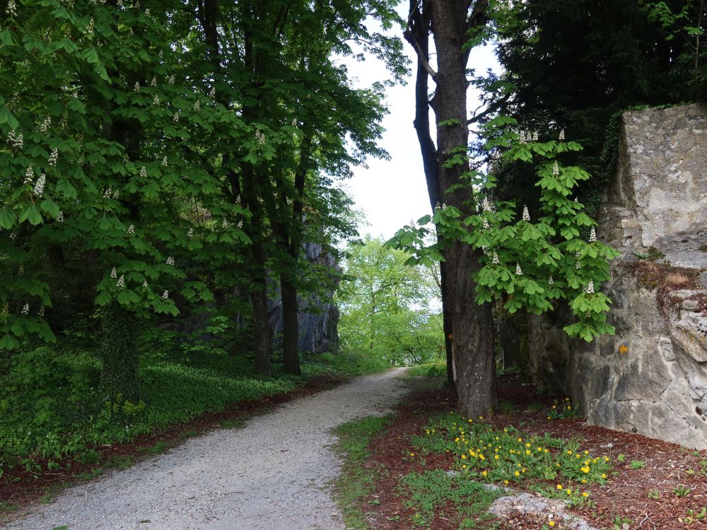 Michaelisweg