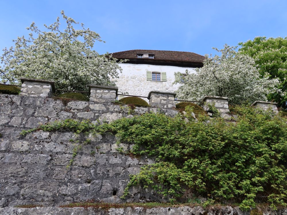Schloss Brunegg