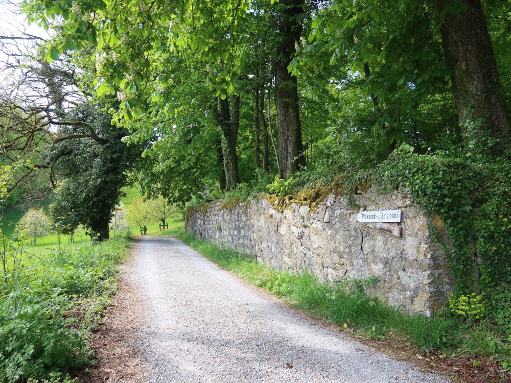 Schlossgasse