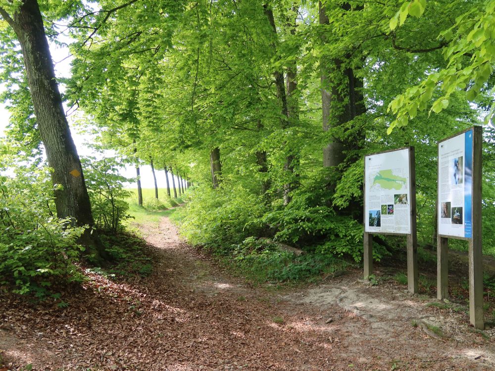 Infotafeln