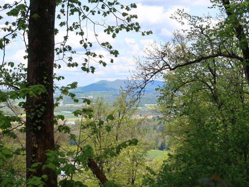 Blick Richtung Lägeren
