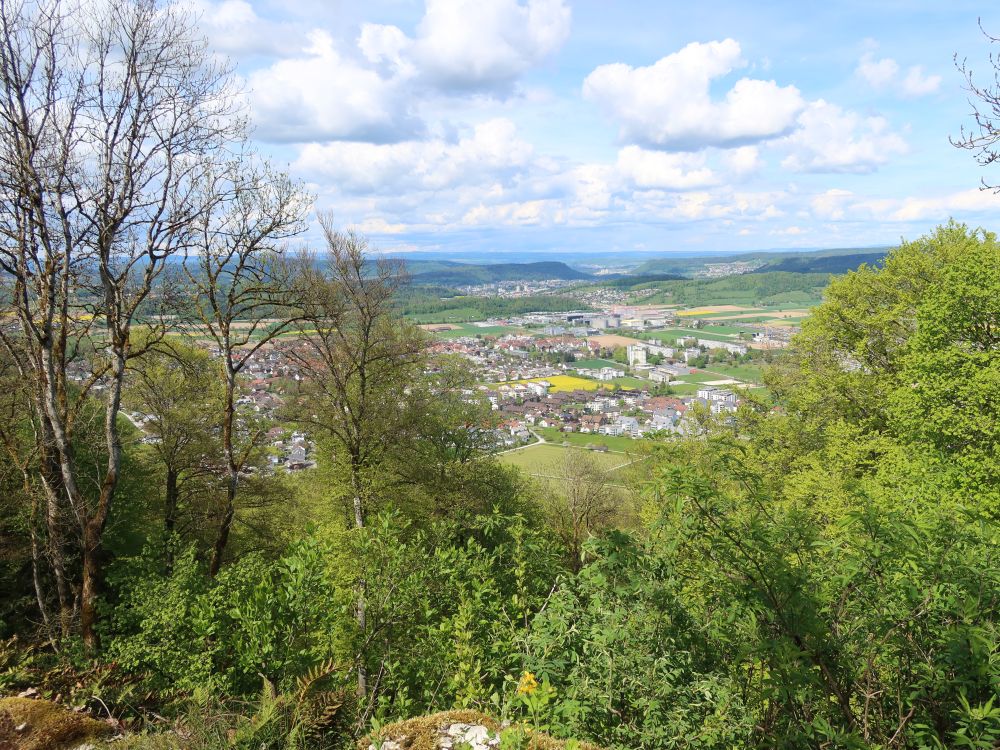 Blick Richtung Lupfig