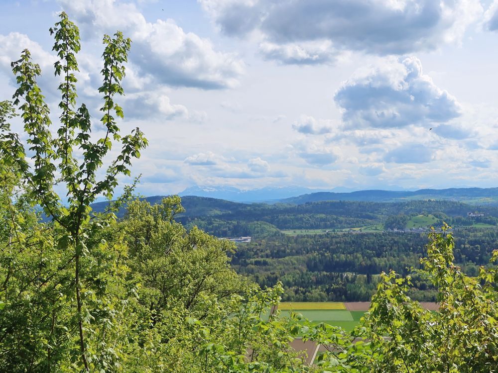 Glarner Alpen im Dunst