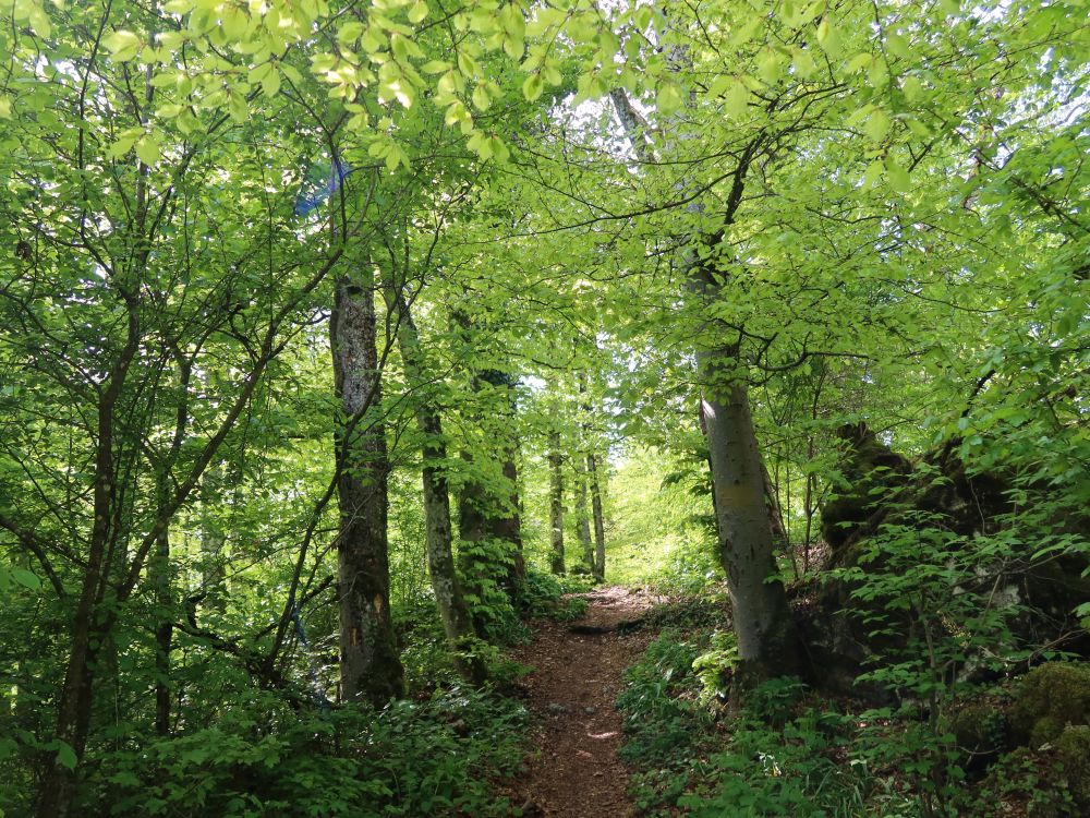 Gratweg