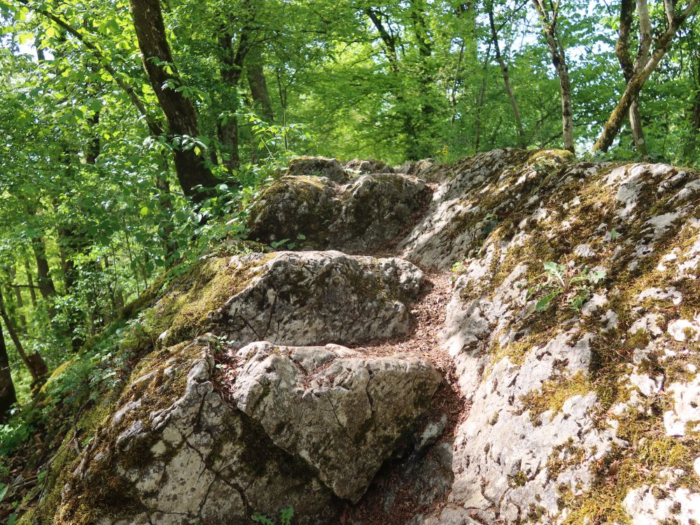 Stufen am Gratweg