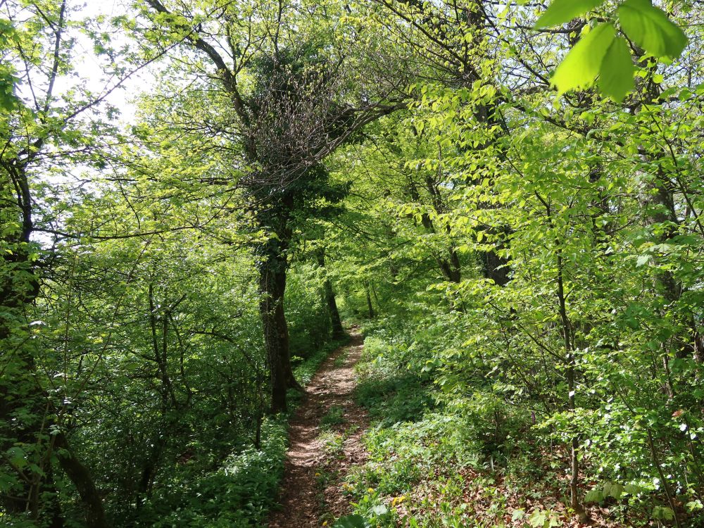 Gratweg