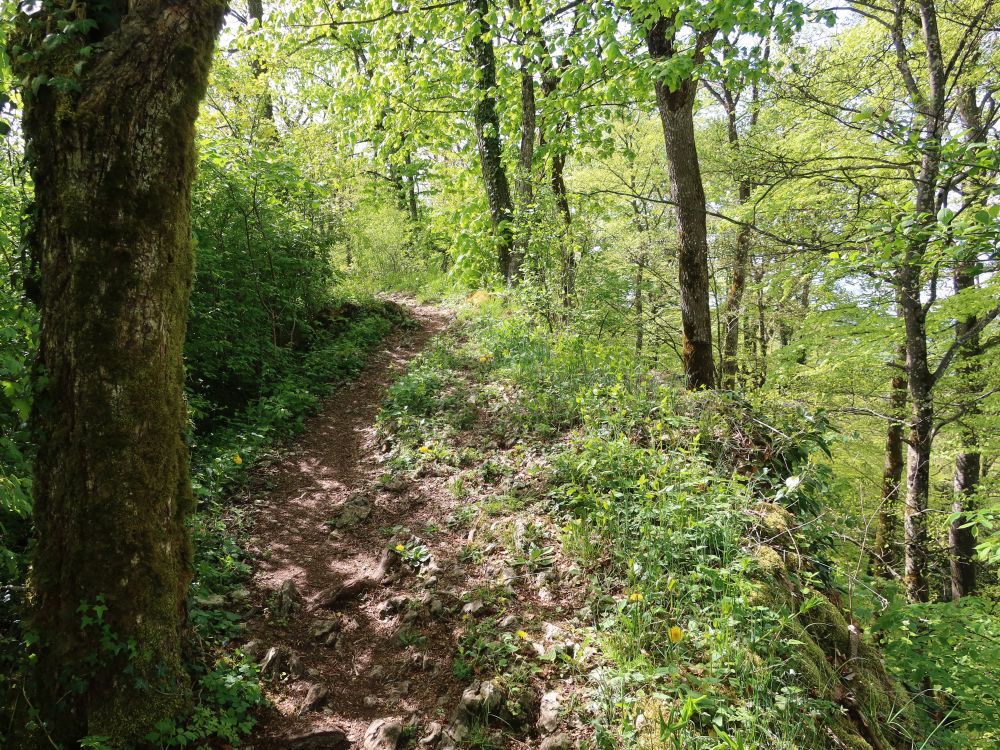 Gratweg