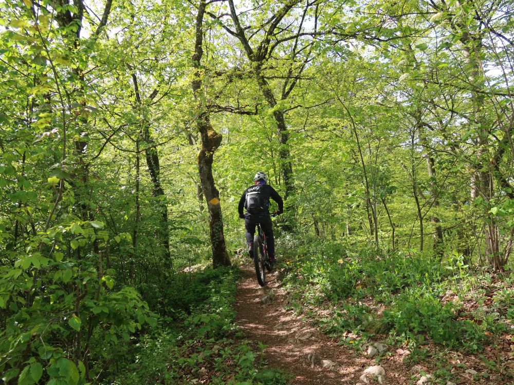 Biker am Gratweg