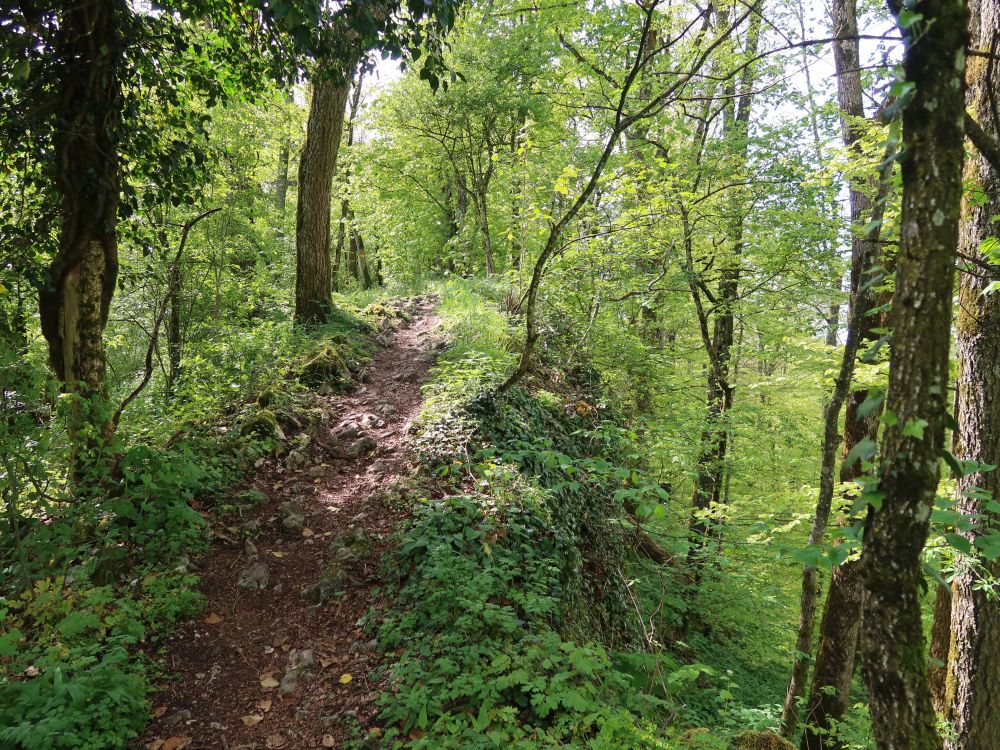 Gratweg