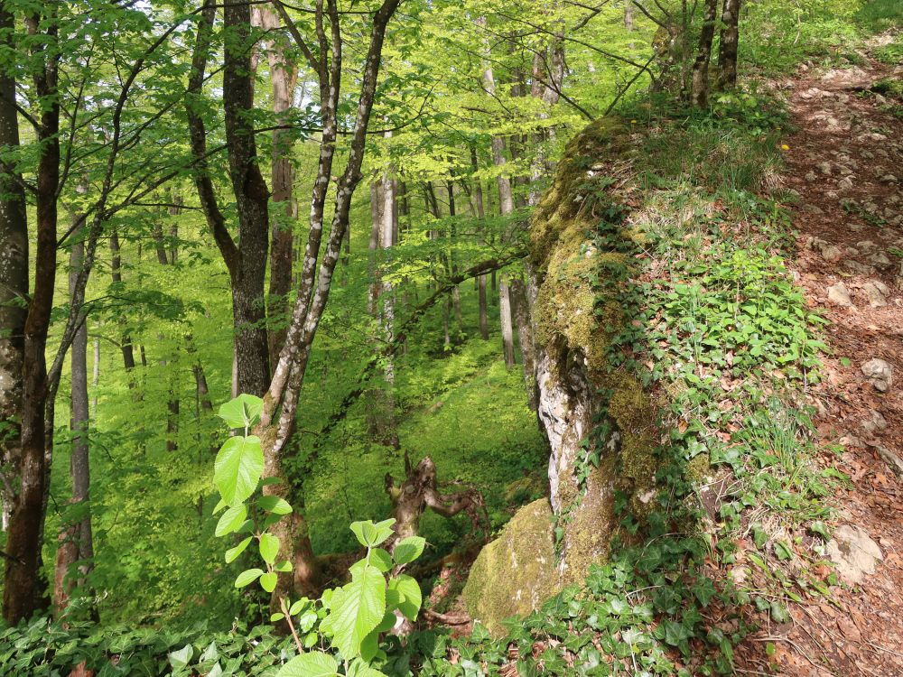 Gratweg