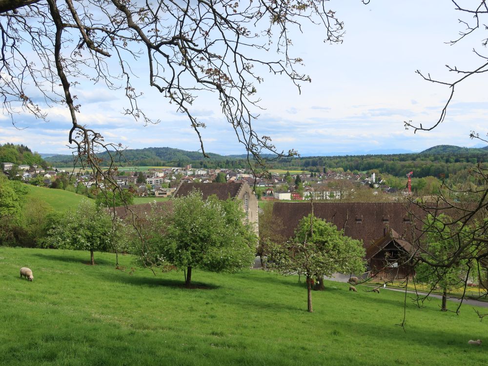 Schlossgutshof