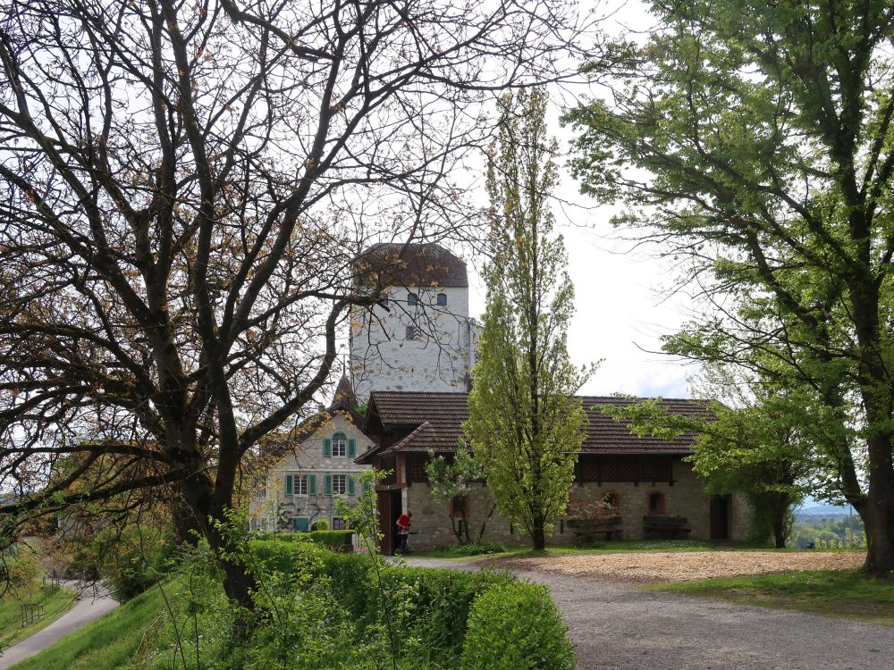 Schloss Wildegg