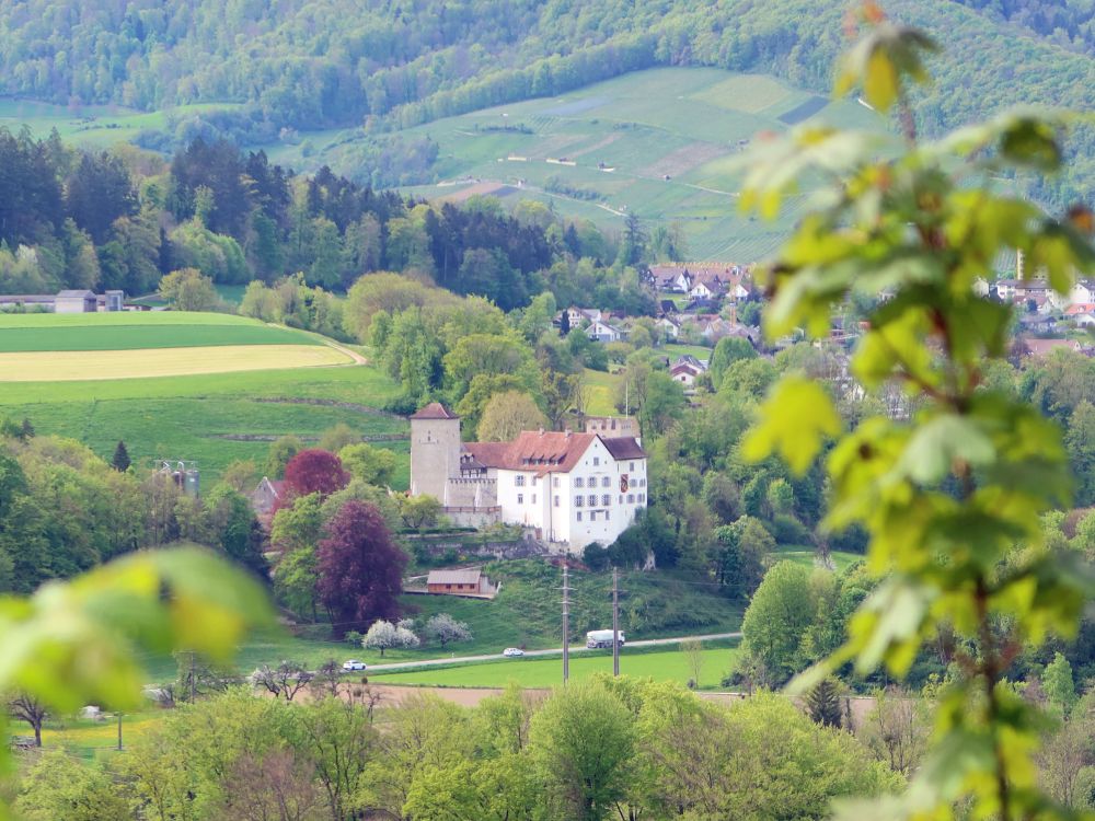 Schloss Wildenstein
