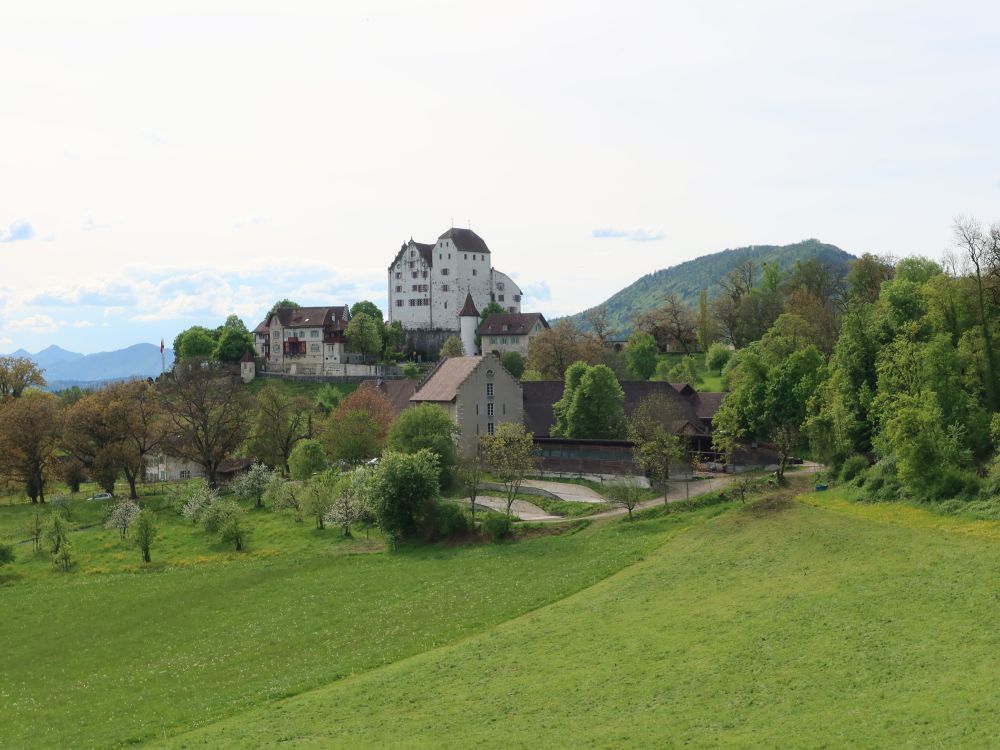 Schloss Wildegg