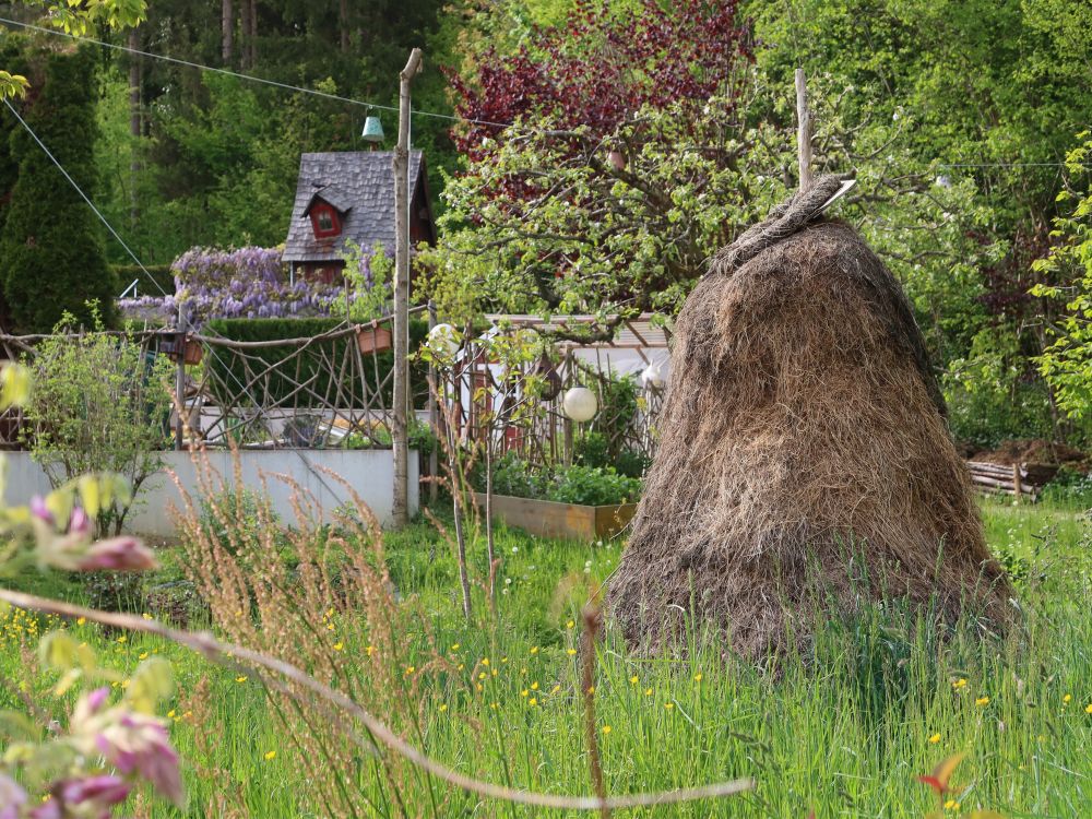 Heuschochen