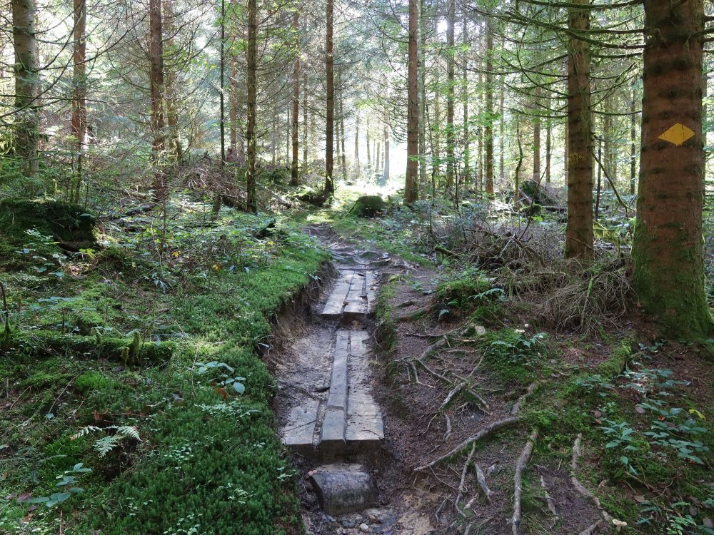 Holzsteg