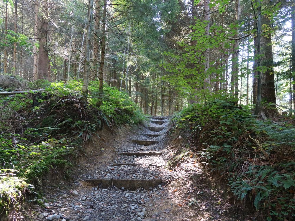 Treppe