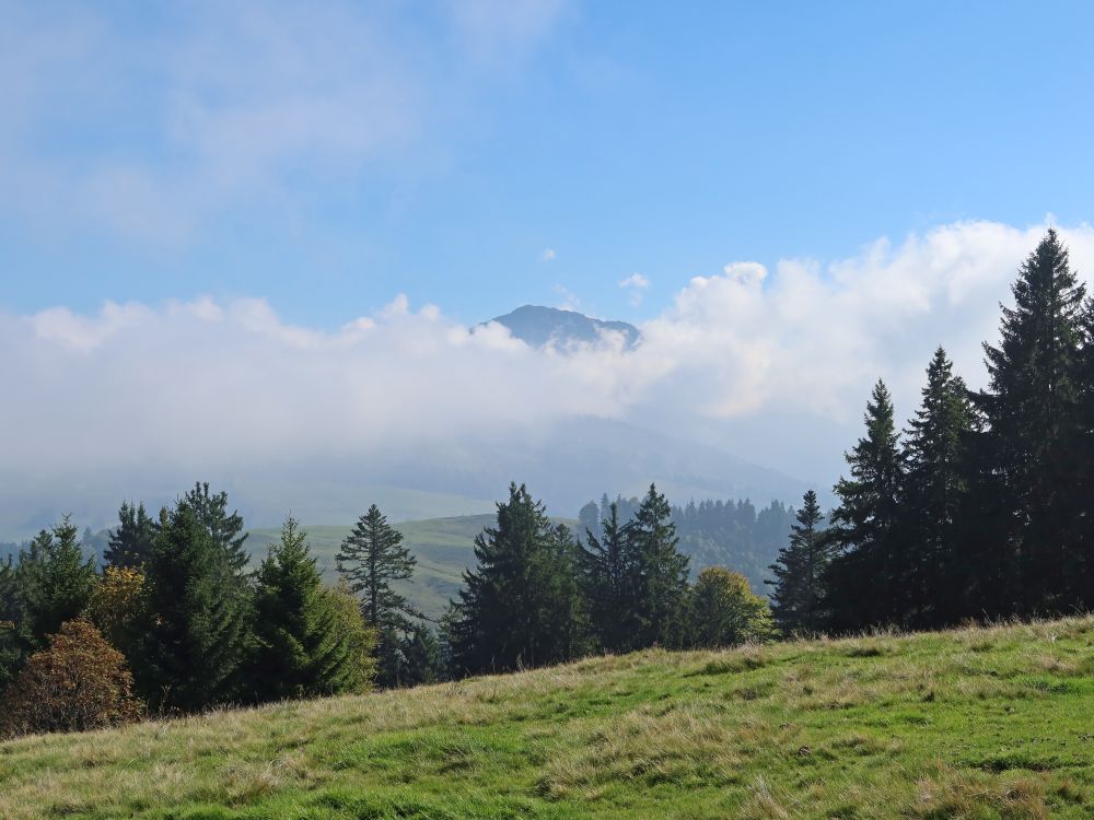 Bergspitze über den Wolken