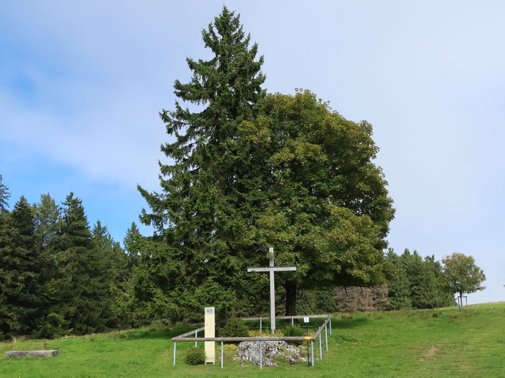Kreuz am Regulastein