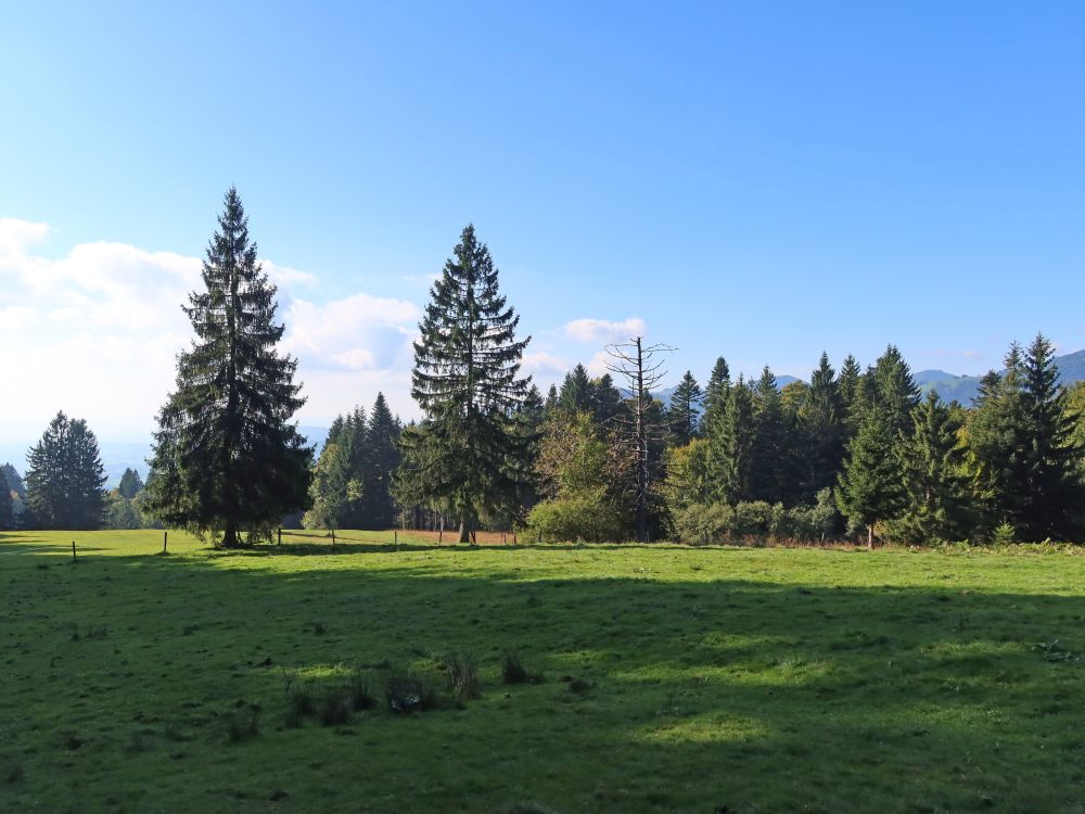 Hochmoor Rietmaren